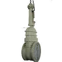 giant gate valve.jpg